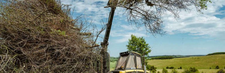 Fakitermelés, kihordás