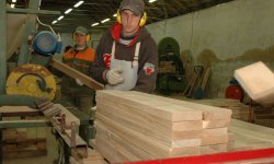 Tölgy fűrészárú